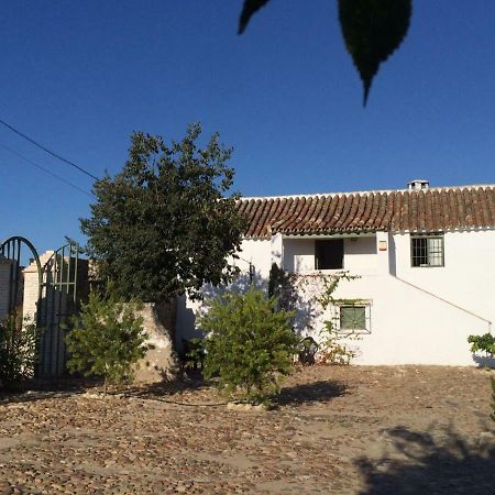 Casa Del Almezo Guest House อัลโมโดวาร์ เดล ริโอ ภายนอก รูปภาพ